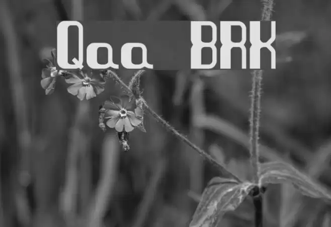 Quandary BRK Font examples