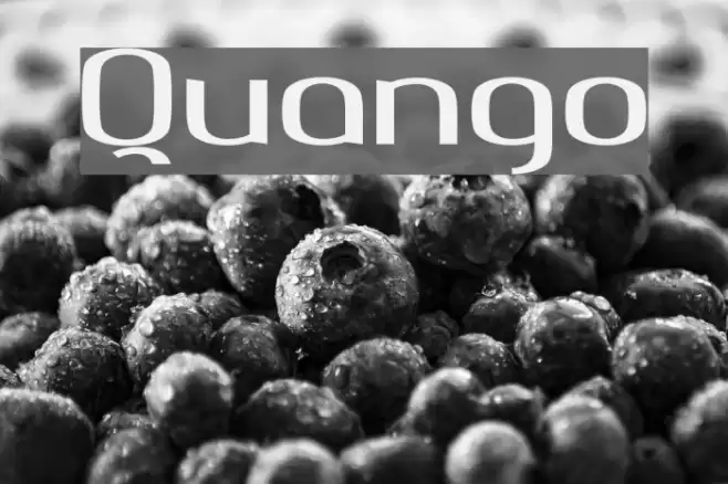 Quango Font examples