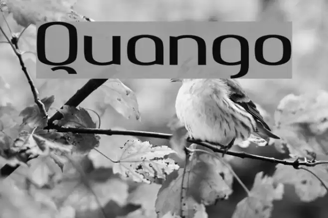 Quango Font examples