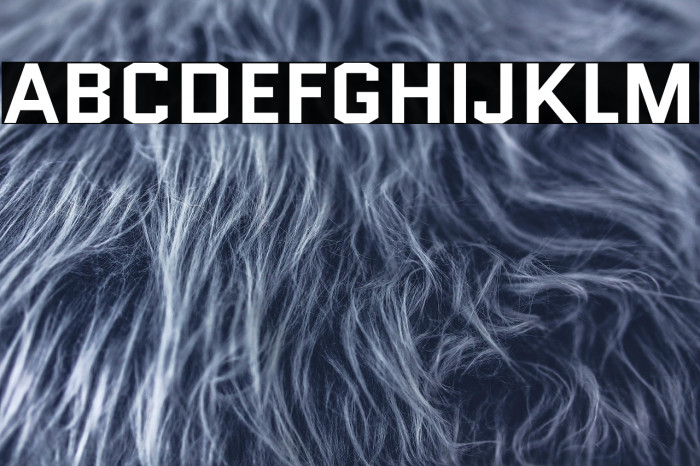 Quantico-Bold Example 2