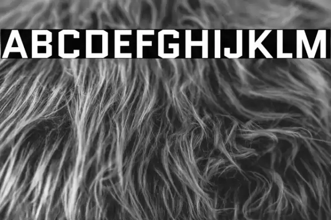 Quantico-Bold Font examples