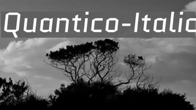 Quantico-Italic Font examples
