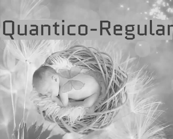Quantico-Regular Font examples