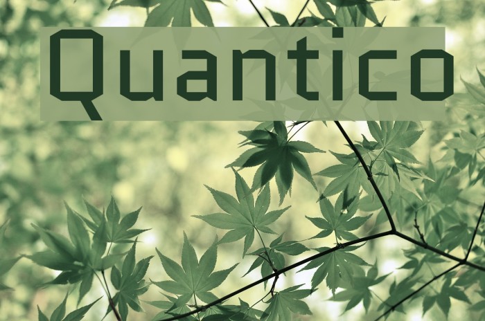 Quantico Font examples