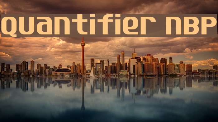 Quantifier NBP Font examples