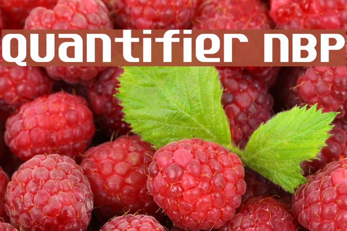 Quantifier NBP Font examples
