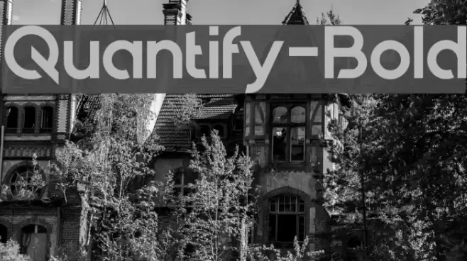 Quantify-Bold Font examples