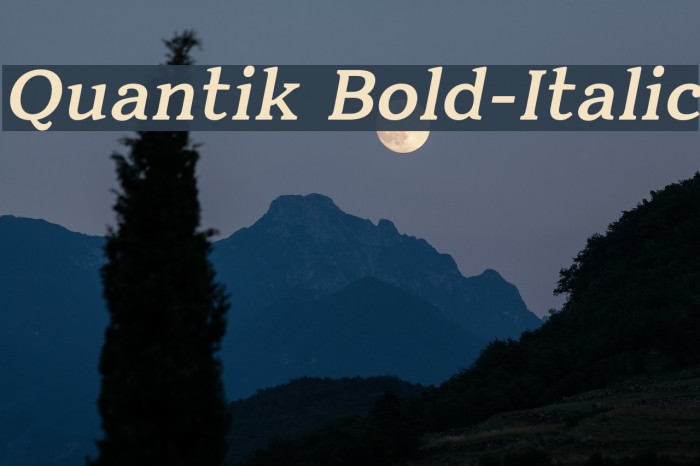 Quantik Bold-Italic Example 1