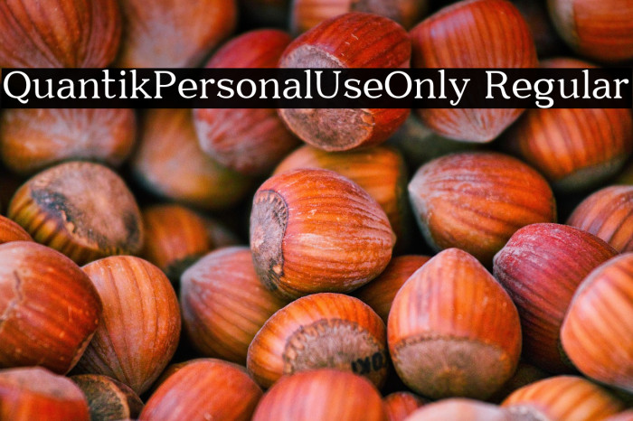 Quantik-Personal-Use-Only Regular Example 2