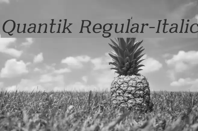 Quantik Regular-Italic Font examples
