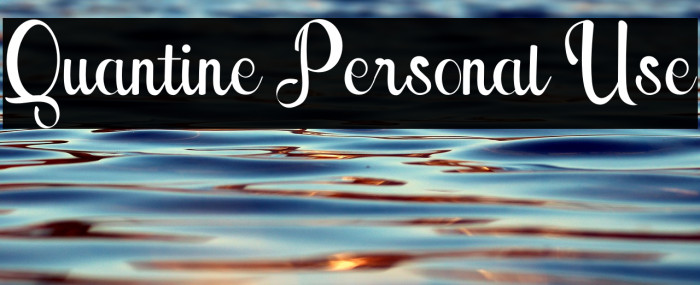Quantine Personal Use Example 2