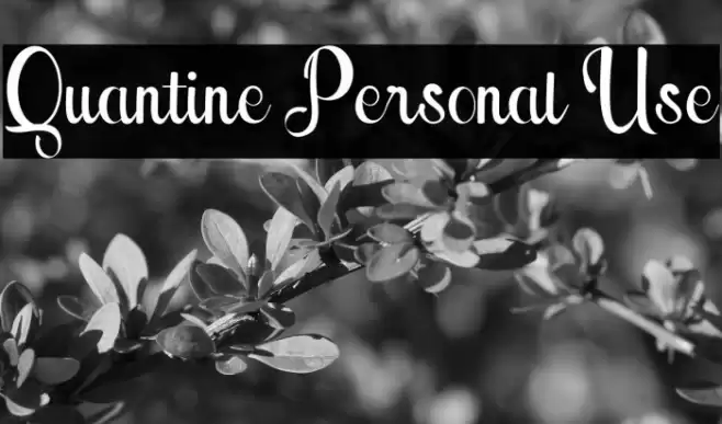 Quantine Personal Use Font examples