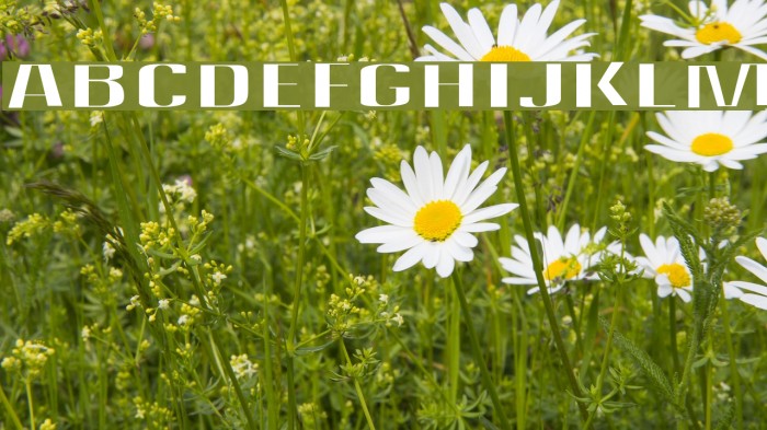 Quantity Font examples