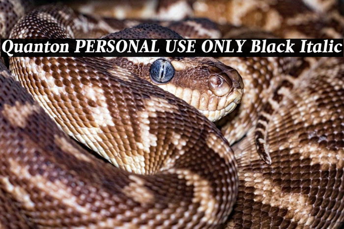 Quanton PERSONAL USE ONLY Black Italic Example 2