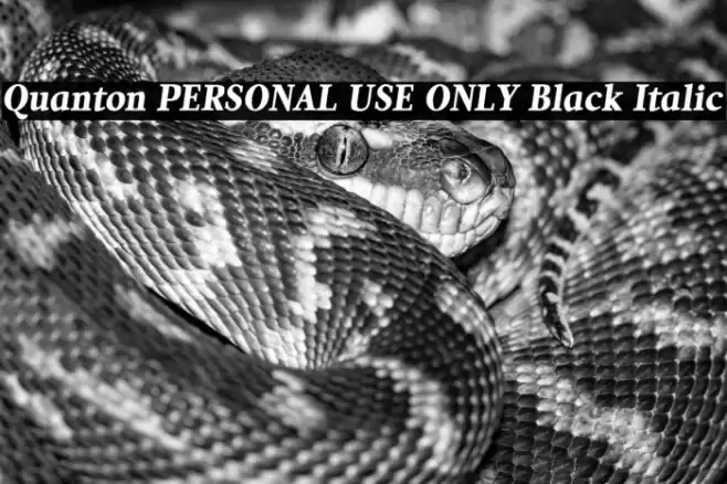 Quanton PERSONAL USE ONLY Black Italic Font examples