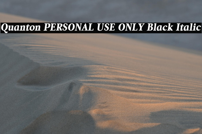 Quanton PERSONAL USE ONLY Black Italic Example 3