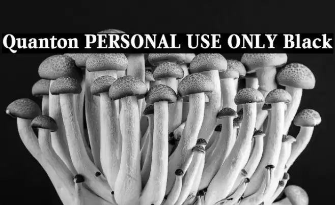 Quanton PERSONAL USE ONLY Black Font examples