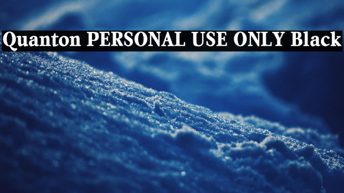 Quanton PERSONAL USE ONLY Black Example 2
