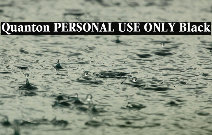 Quanton PERSONAL USE ONLY Black Example 3