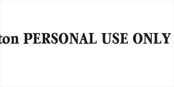 Quanton PERSONAL USE ONLY Black Logo