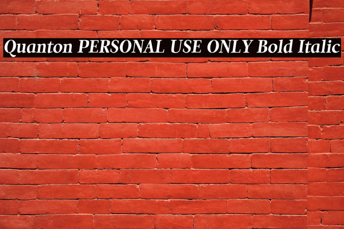 Quanton PERSONAL USE ONLY Bold Italic Example 1