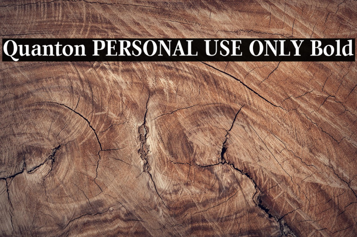 Quanton PERSONAL USE ONLY Bold Example 2