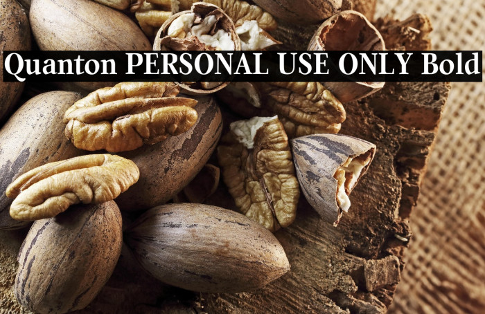 Quanton PERSONAL USE ONLY Bold Example 3