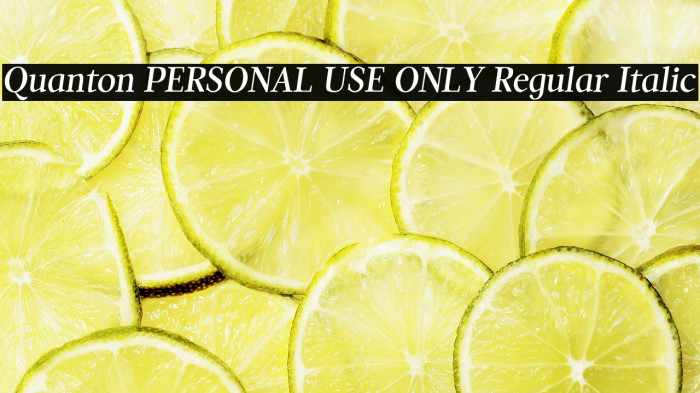 Quanton PERSONAL USE ONLY Regular Italic Example 2