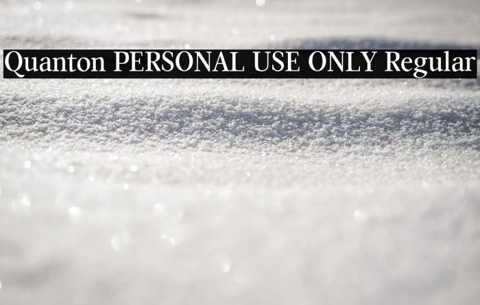 Quanton PERSONAL USE ONLY Regular Example 2