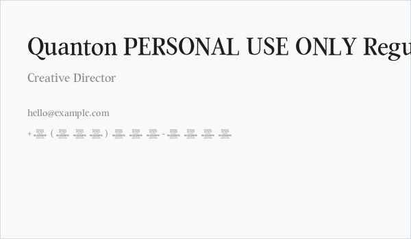 Quanton PERSONAL USE ONLY Regular Business Card