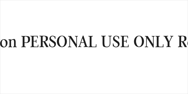Quanton PERSONAL USE ONLY Regular Logo