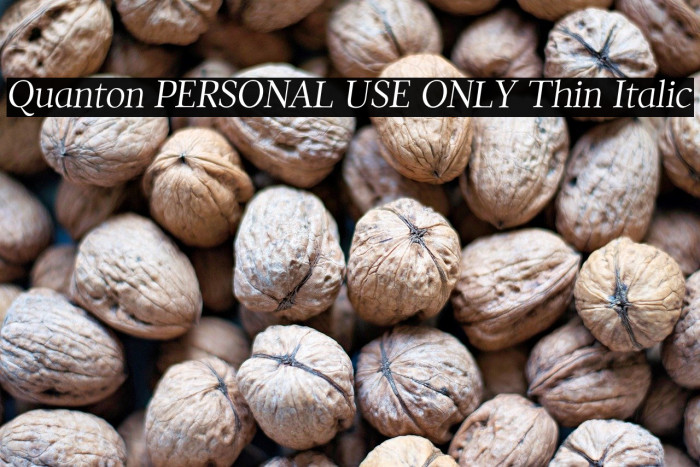 Quanton PERSONAL USE ONLY Thin Italic Example 2