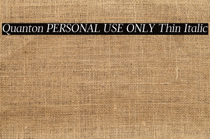 Quanton PERSONAL USE ONLY Thin Italic Example 3