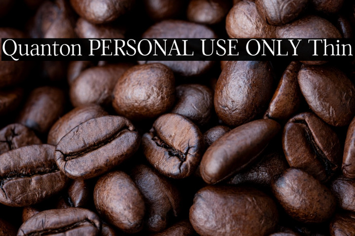 Quanton PERSONAL USE ONLY Thin Example 1