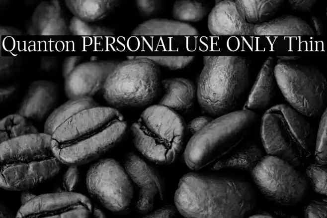 Quanton PERSONAL USE ONLY Thin Font examples