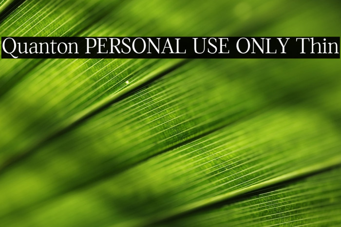 Quanton PERSONAL USE ONLY Thin Example 2