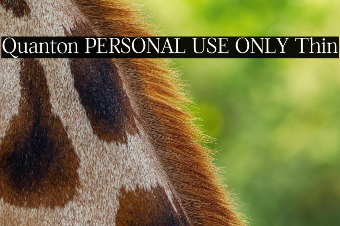 Quanton PERSONAL USE ONLY Thin Example 3