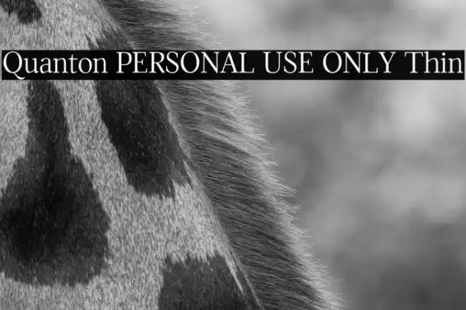 Quanton PERSONAL USE ONLY Thin Font examples