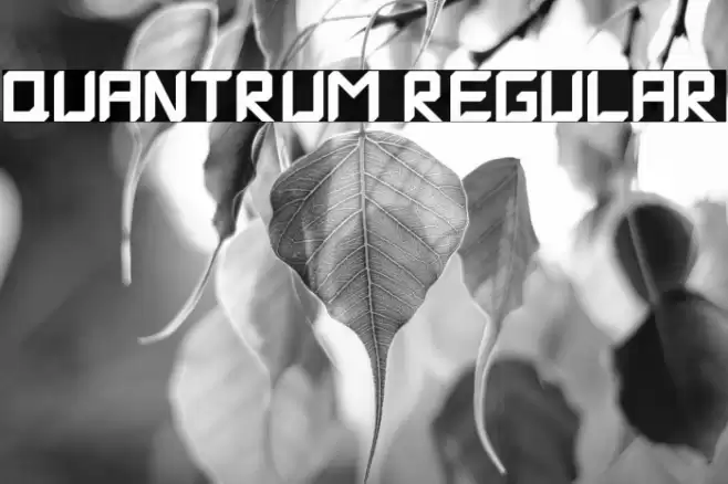 Quantrum Regular フォント examples