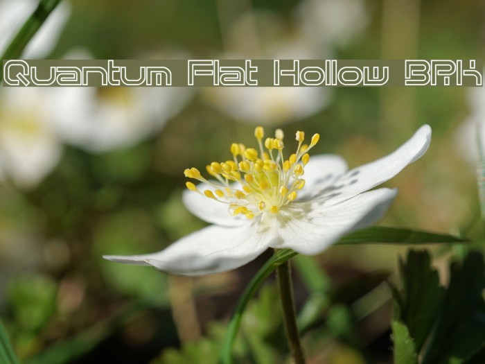 Quantum Flat Hollow [BRK] Example 1