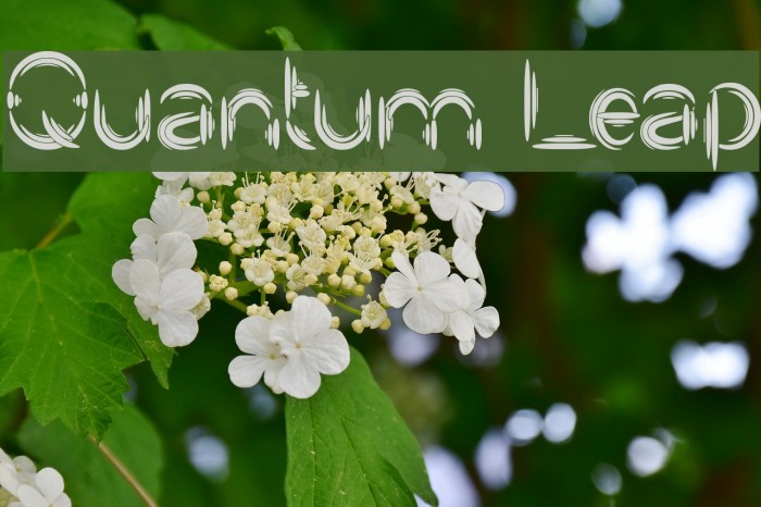 Quantum Leap Example 1