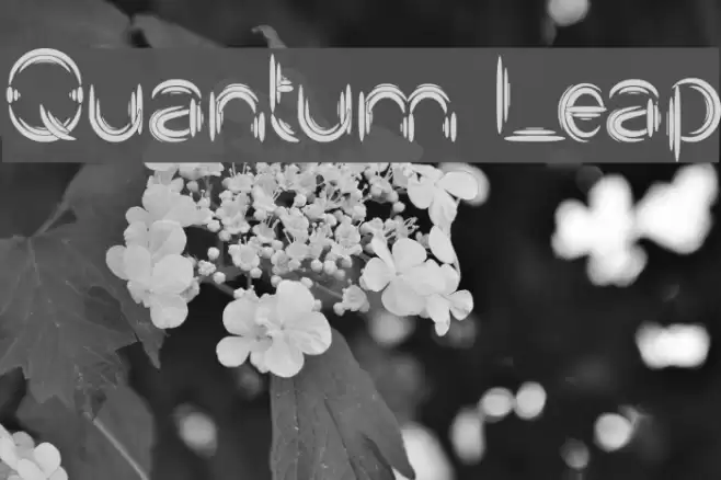 Quantum Leap Font examples