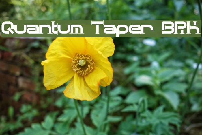 Quantum Taper [BRK] Example 2