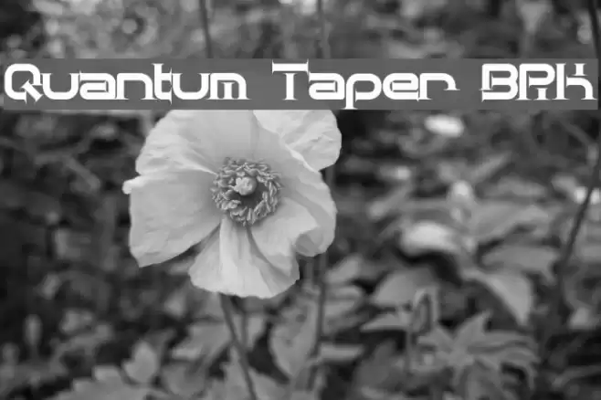 Quantum Taper [BRK] Font examples