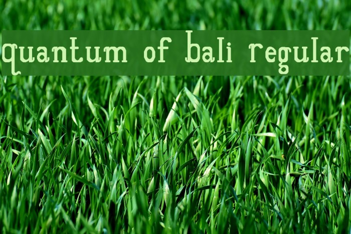 Quantum of Bali Regular Font examples
