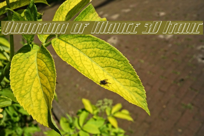 Quantum of Malice 3D Italic Font examples