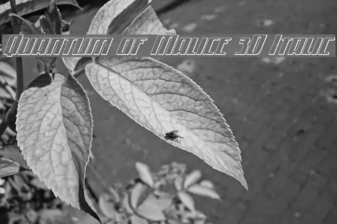 Quantum of Malice 3D Italic फ़ॉन्ट examples