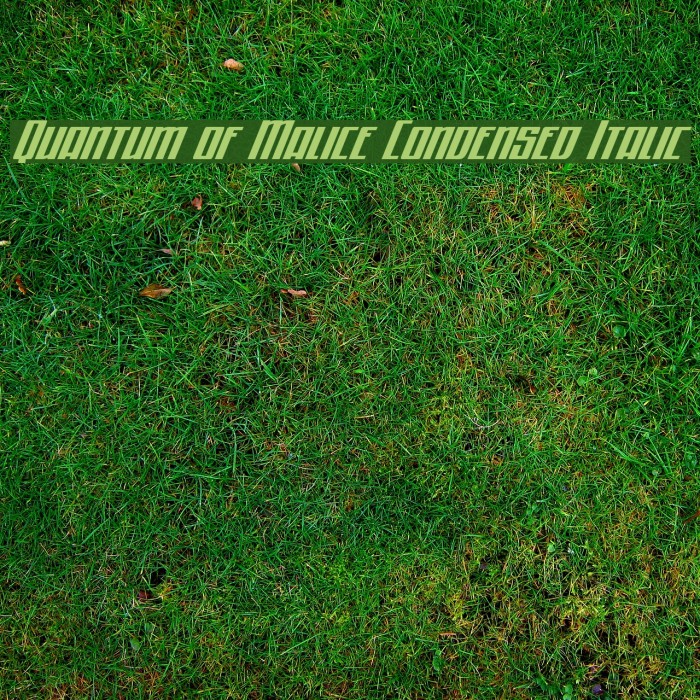 Quantum of Malice Condensed Italic Font examples