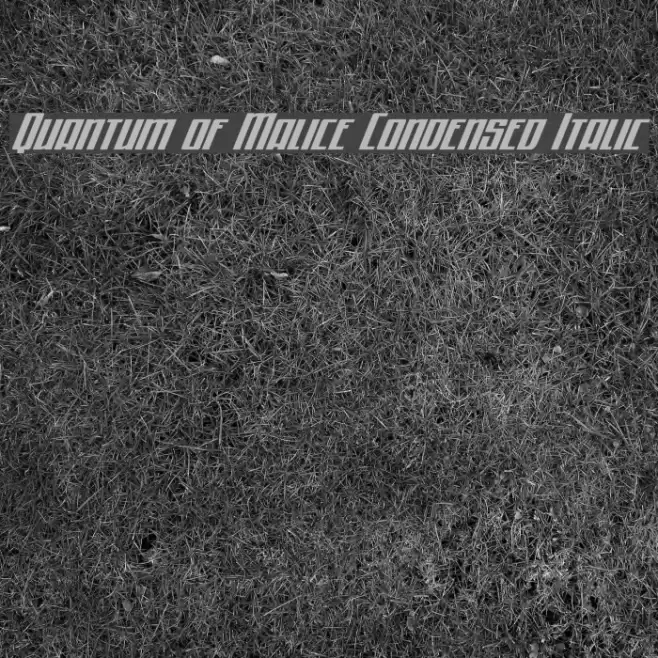 Quantum of Malice Condensed Italic Font examples
