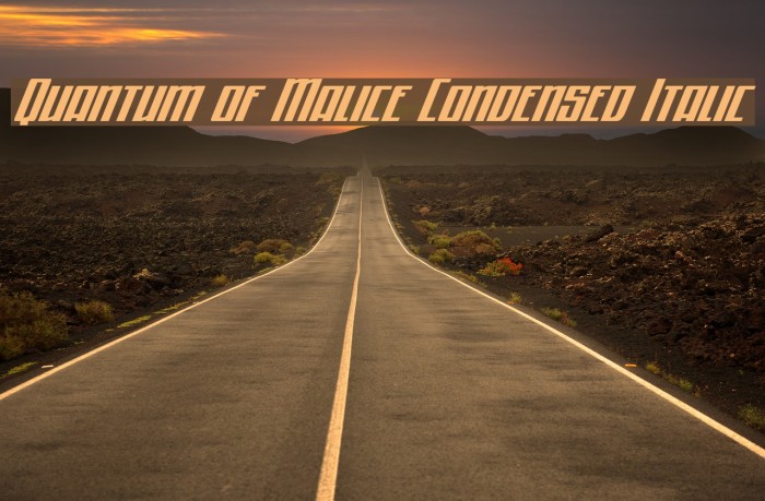 Quantum of Malice Condensed Italic Font examples